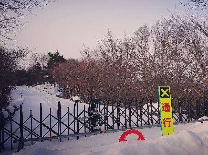 まだまだ春遠く