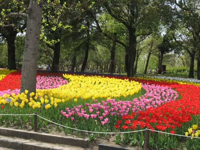 木曽三川公園のチューリップ祭り２０１３