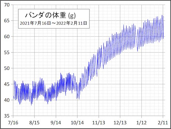 ハー゛ン ダ ◆逆さ栽培 (2)