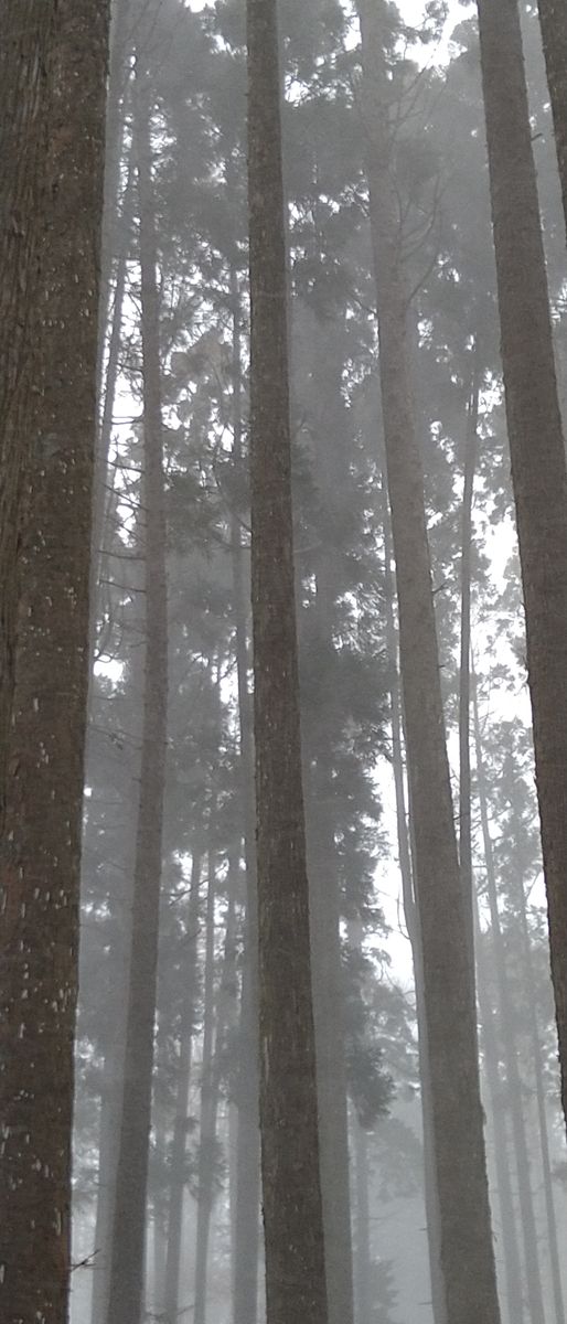 散歩で見かけた風景③