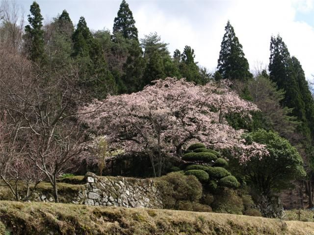 山の方は寒かった