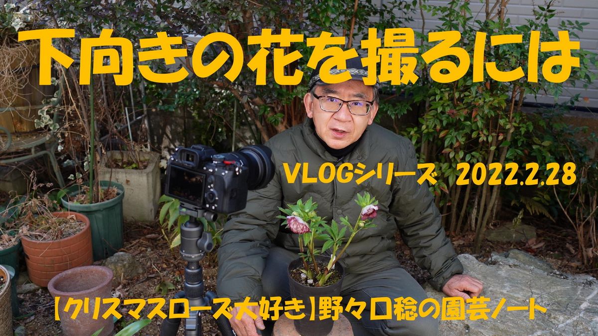 YouTube【下向きの花を撮るには】