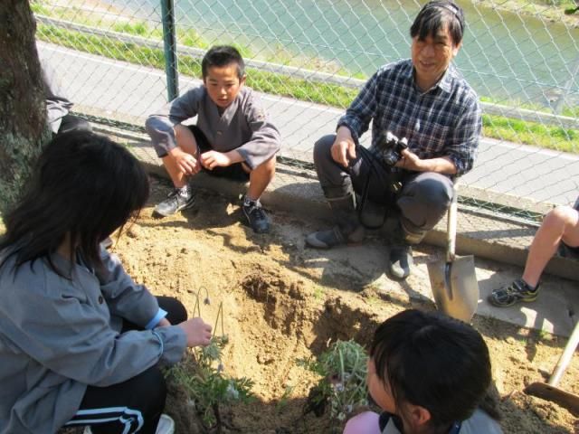 オキナグサをもって小学校へ