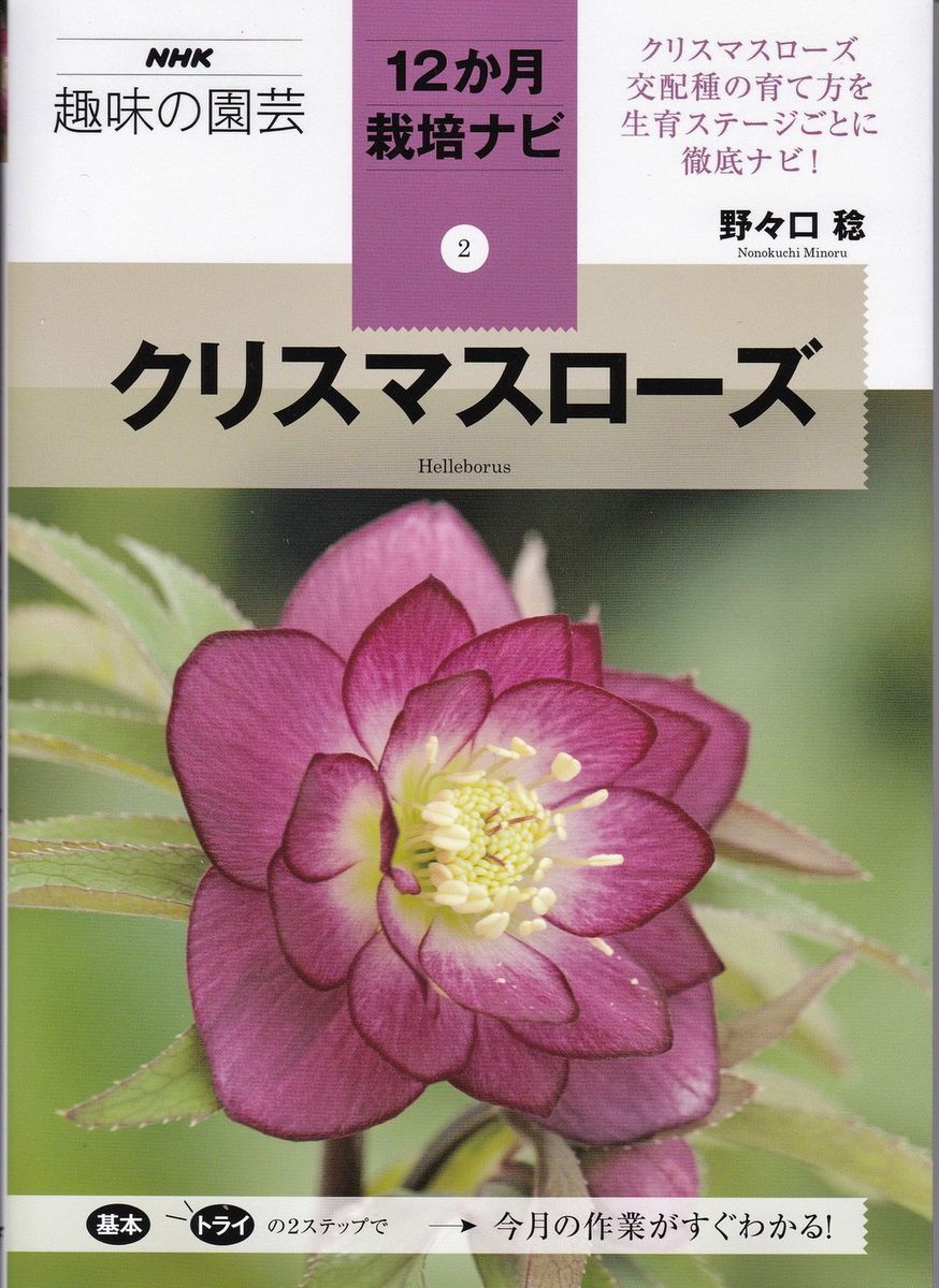 クリスマスローズ (NHK趣味の園芸12か月栽培ナビ(2))