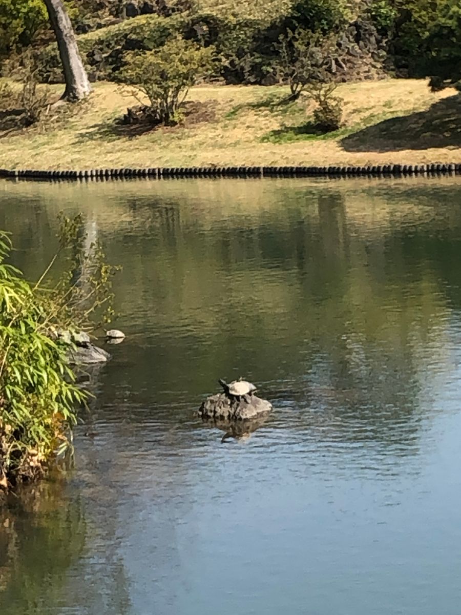 六義園