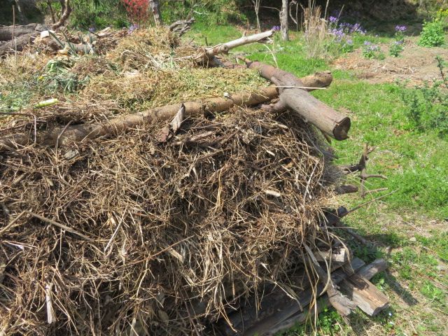 3月中に行った園芸作業