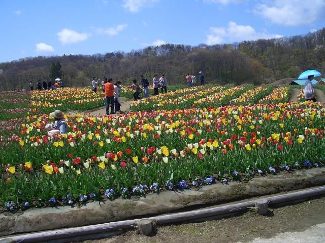 越後丘陵公園へ行ってきました（１）