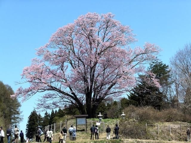 北信濃♪花めぐり♪