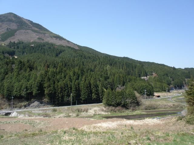 ひろばたけの風景。