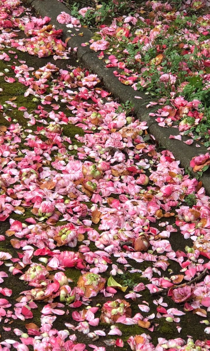 新シリーズ「今日の一押し！」笑笑