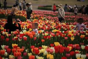 どの花見てもキレイだな♪