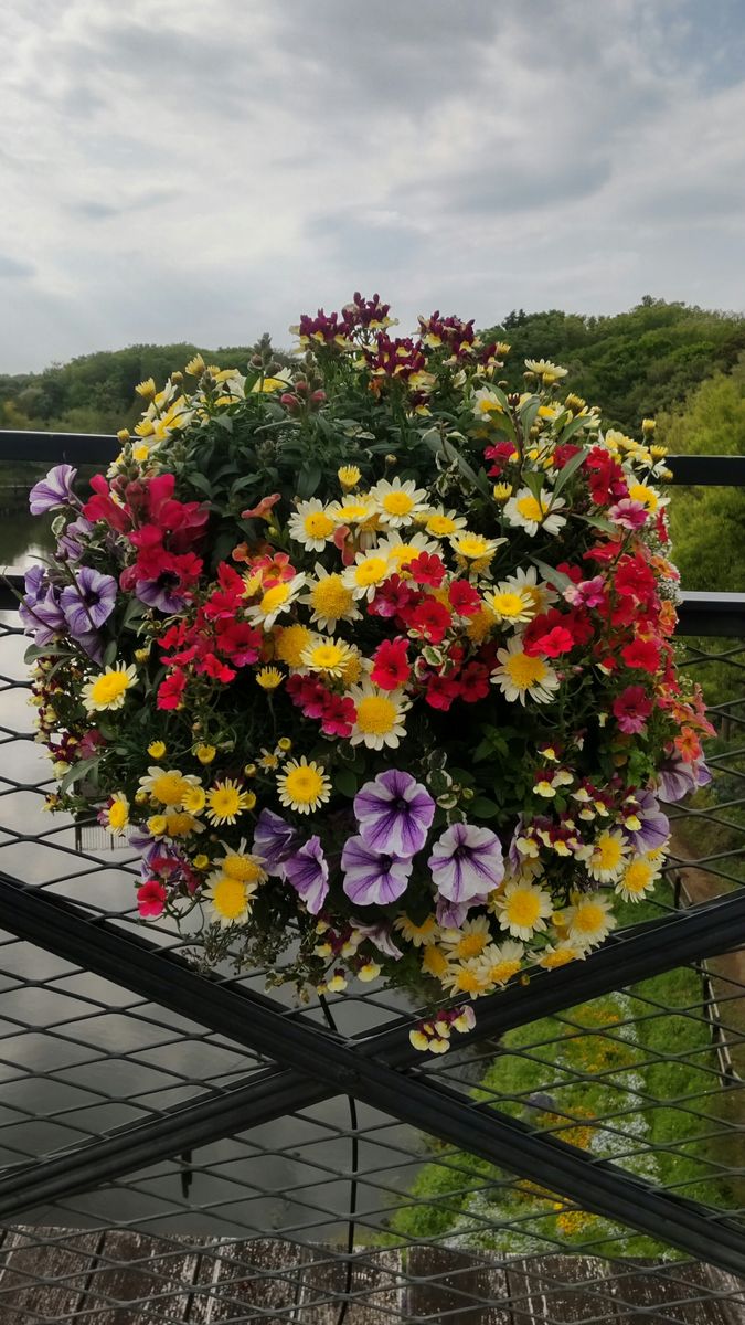 アンデルセン公園でハンギングコンテスト