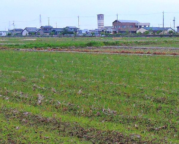 田植え前の田圃風景