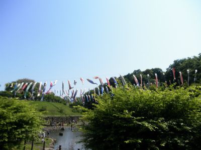 茅ヶ崎里山公園