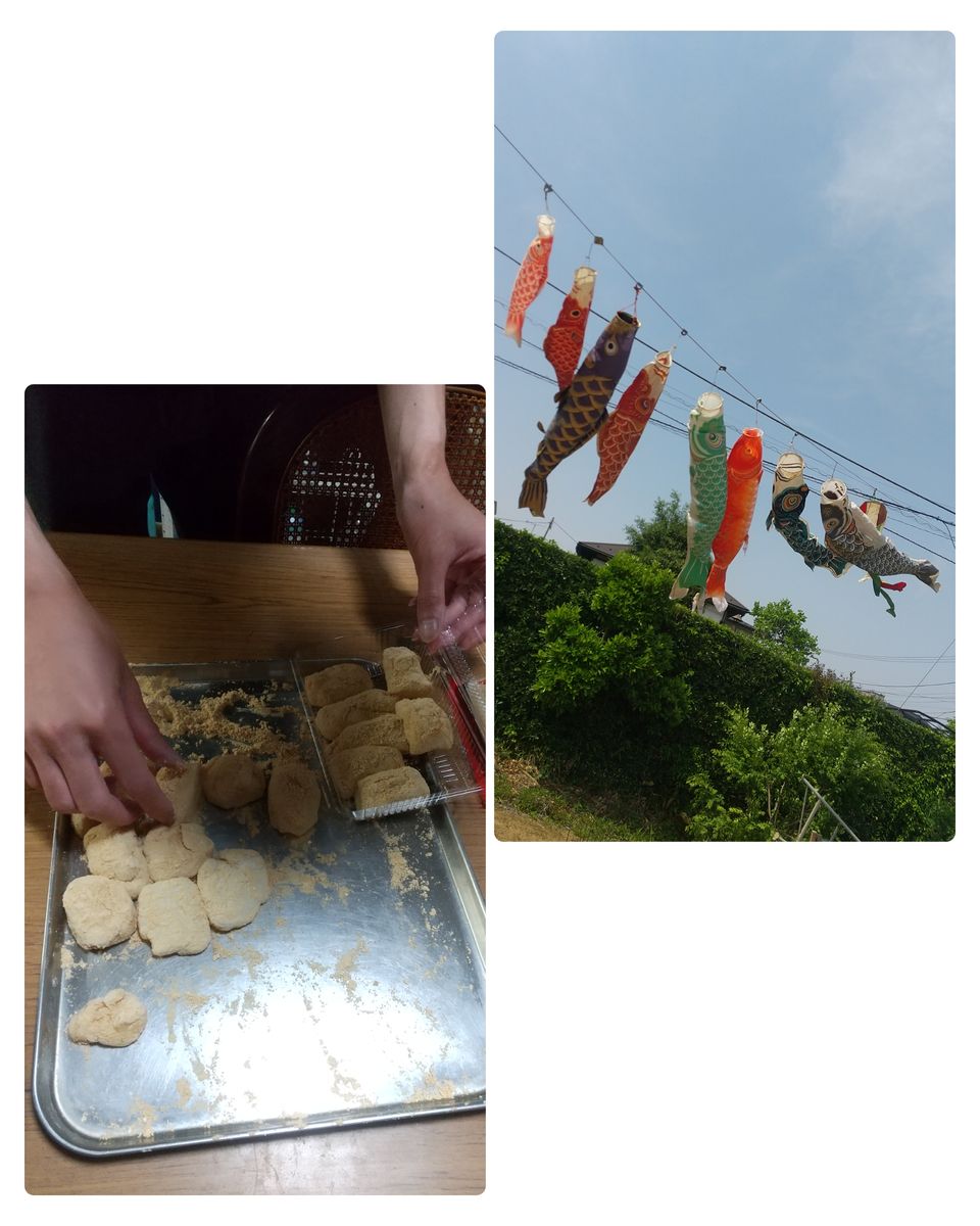 ズボラさんの日常…生まれたよ～🤩🤩&鯉のぼりときなこ餅🤗🤗