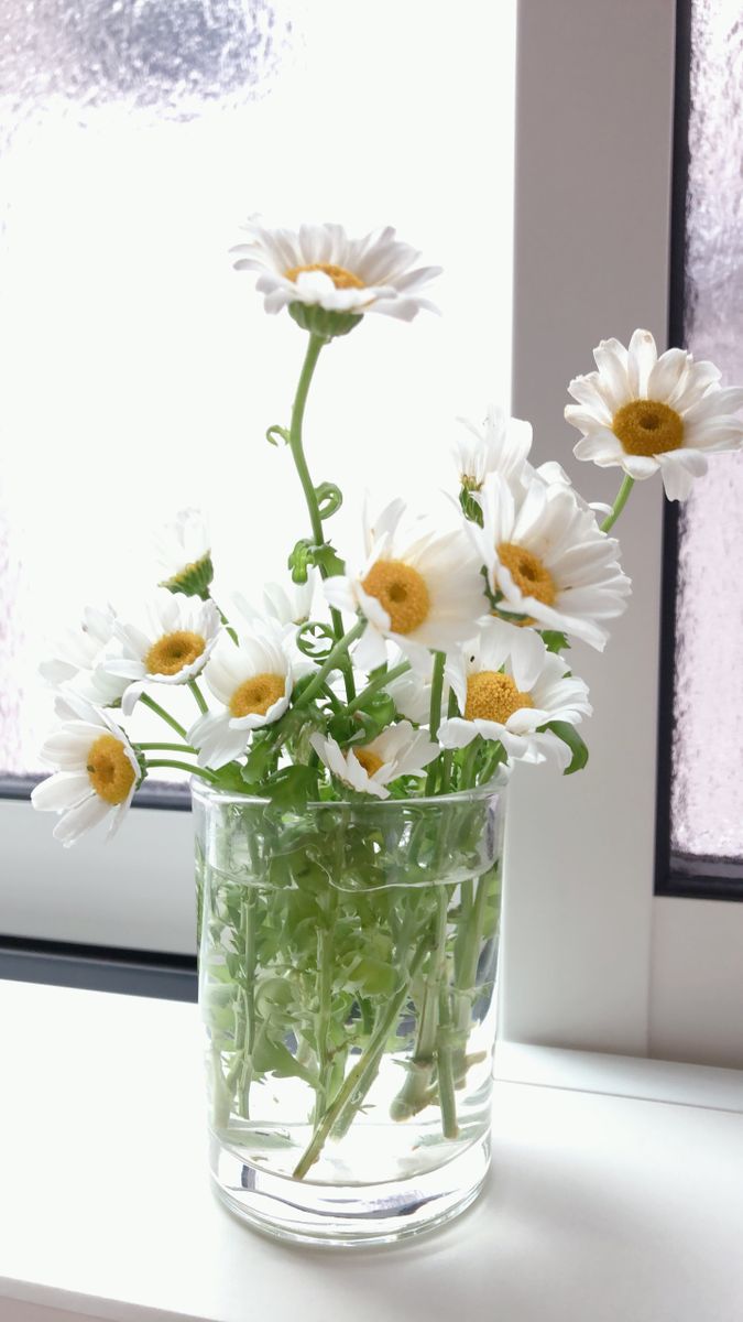 部屋で花を楽しむ