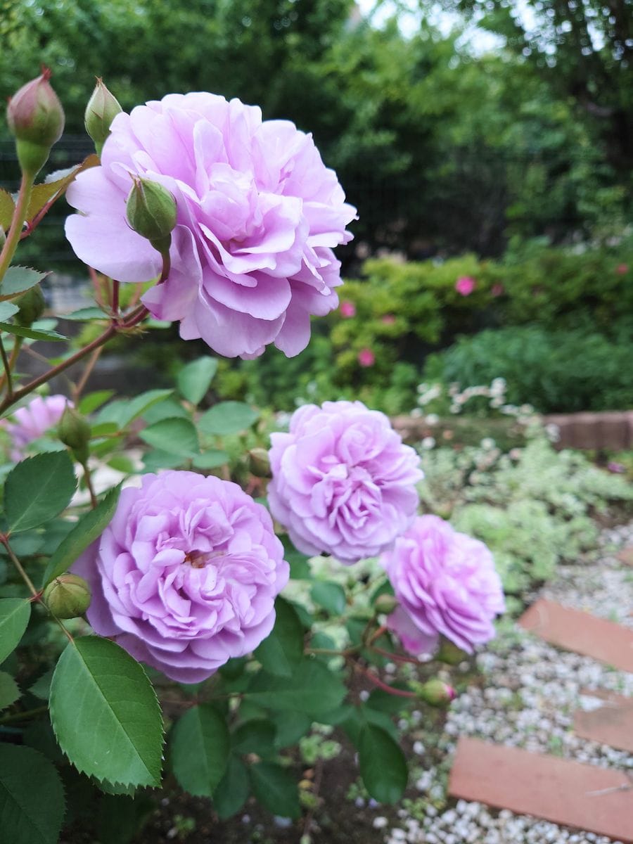 素敵な出会い💕