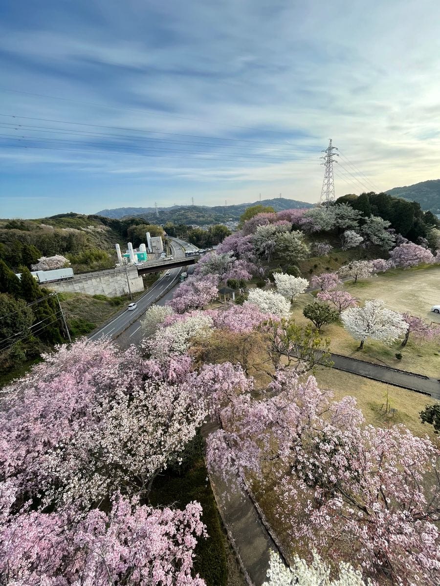 我が町の景色