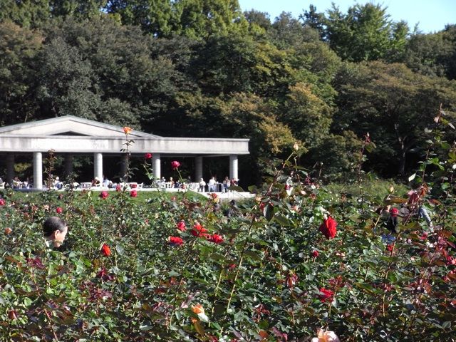 神代植物公園