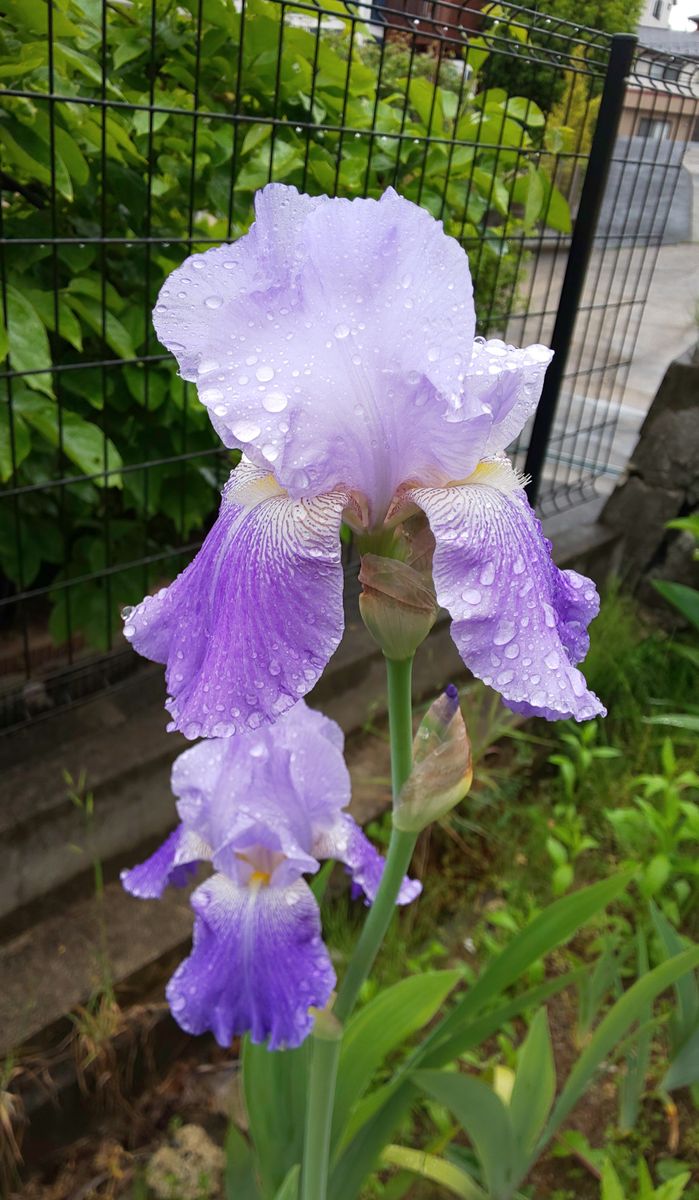 雨だし、、