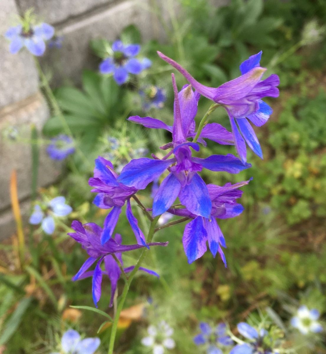 「やさいの時間」もあるよ