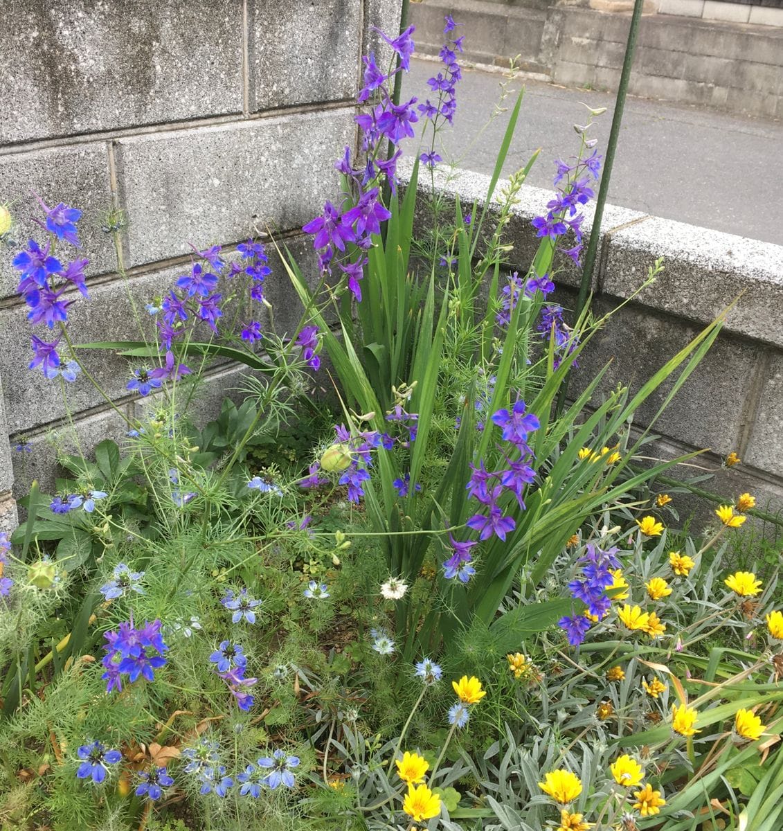 「やさいの時間」もあるよ