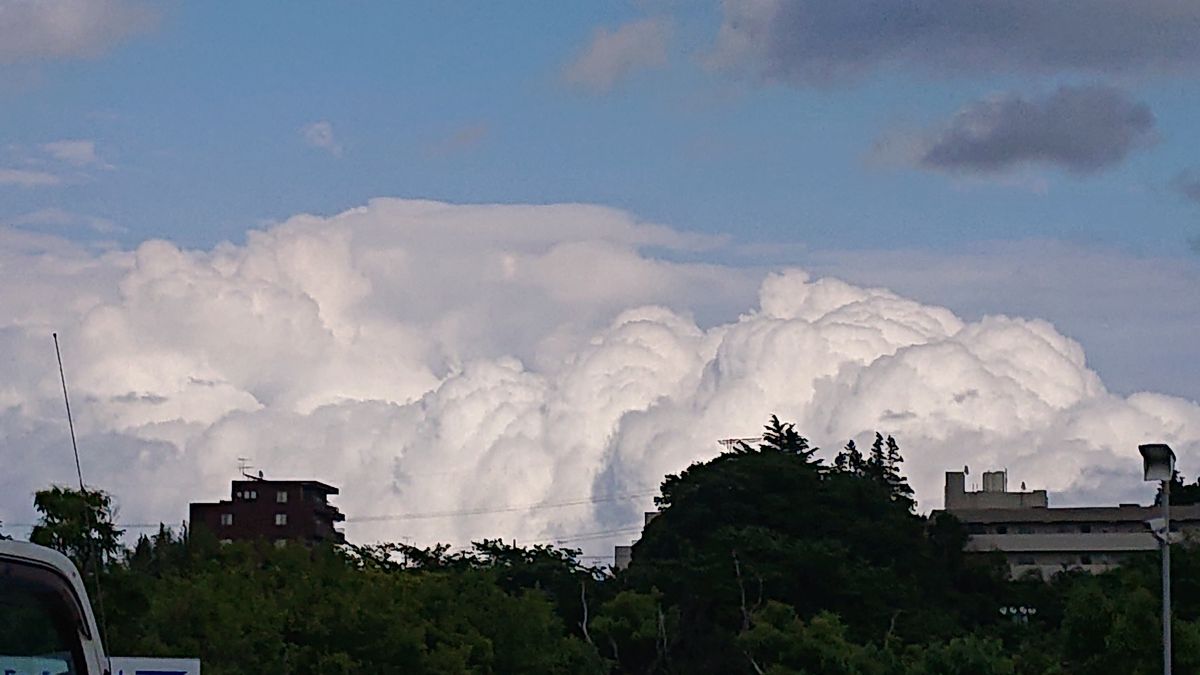 空を見上げて  5月22日の空