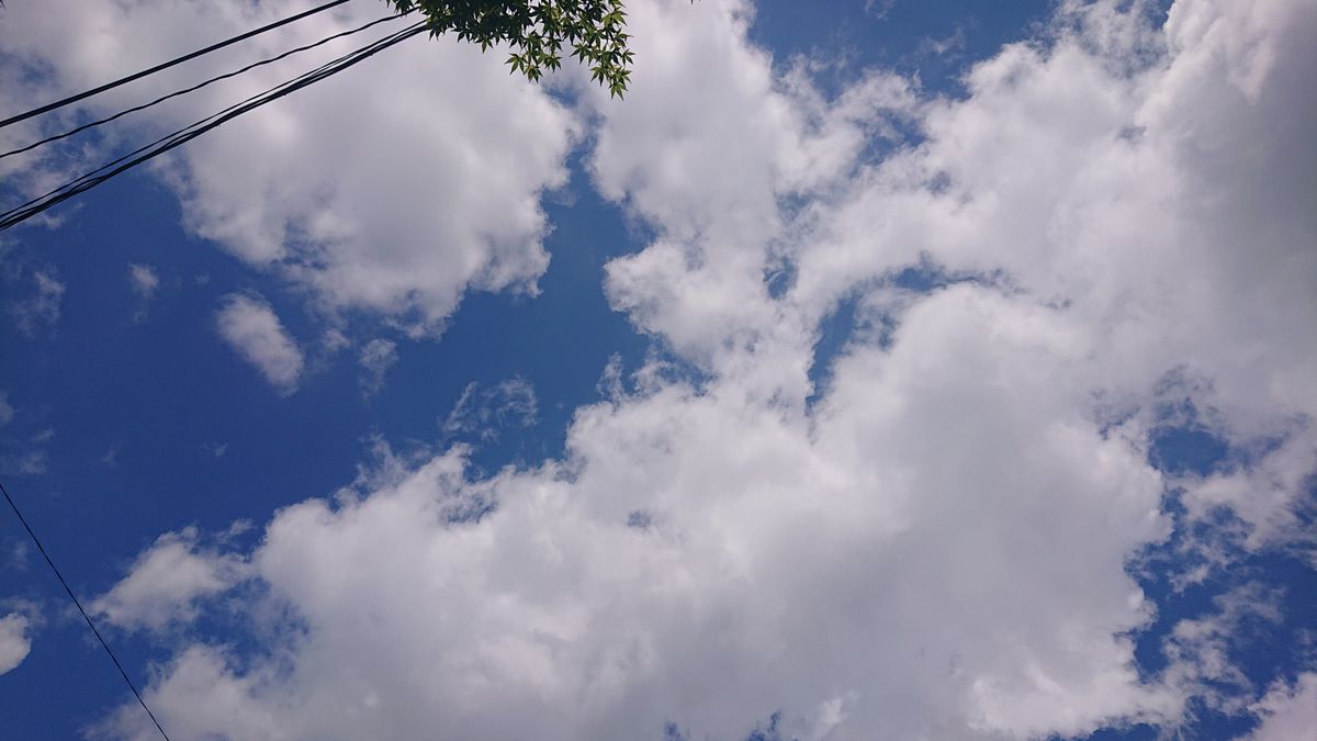 空を見上げて  5月22日の空