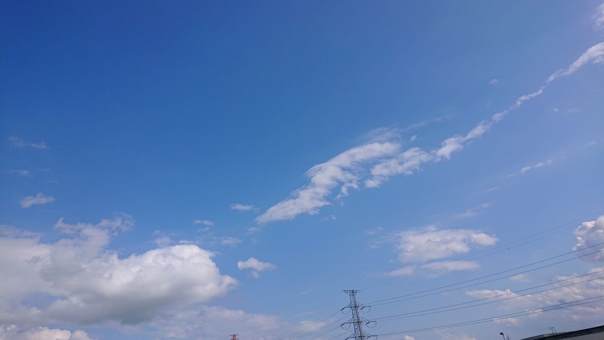 空を見上げて  5月22日の空