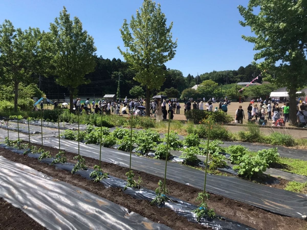 運動会と学校の菜園