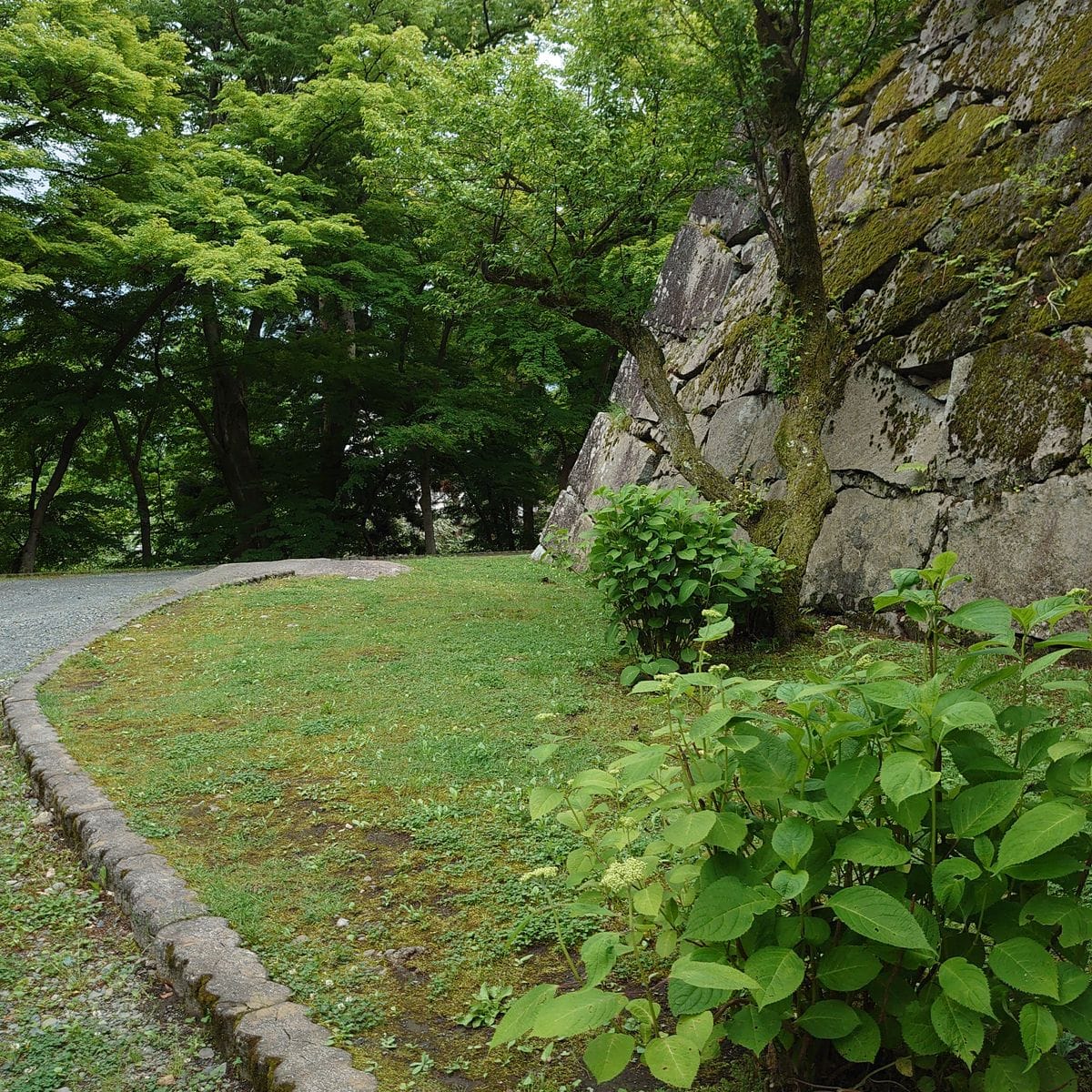 くもり☁時々にわか雨のち晴れ