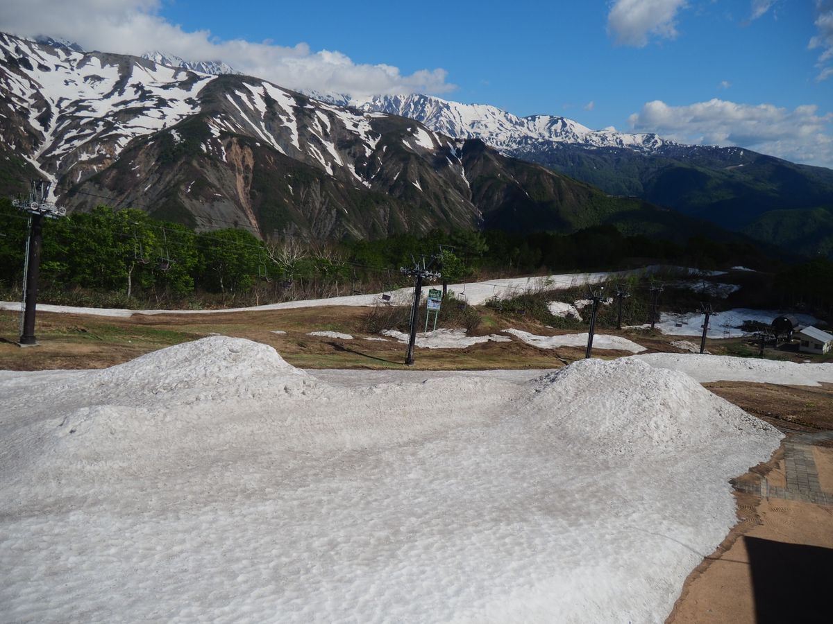 【白馬五竜高山植物園】早期開園情報