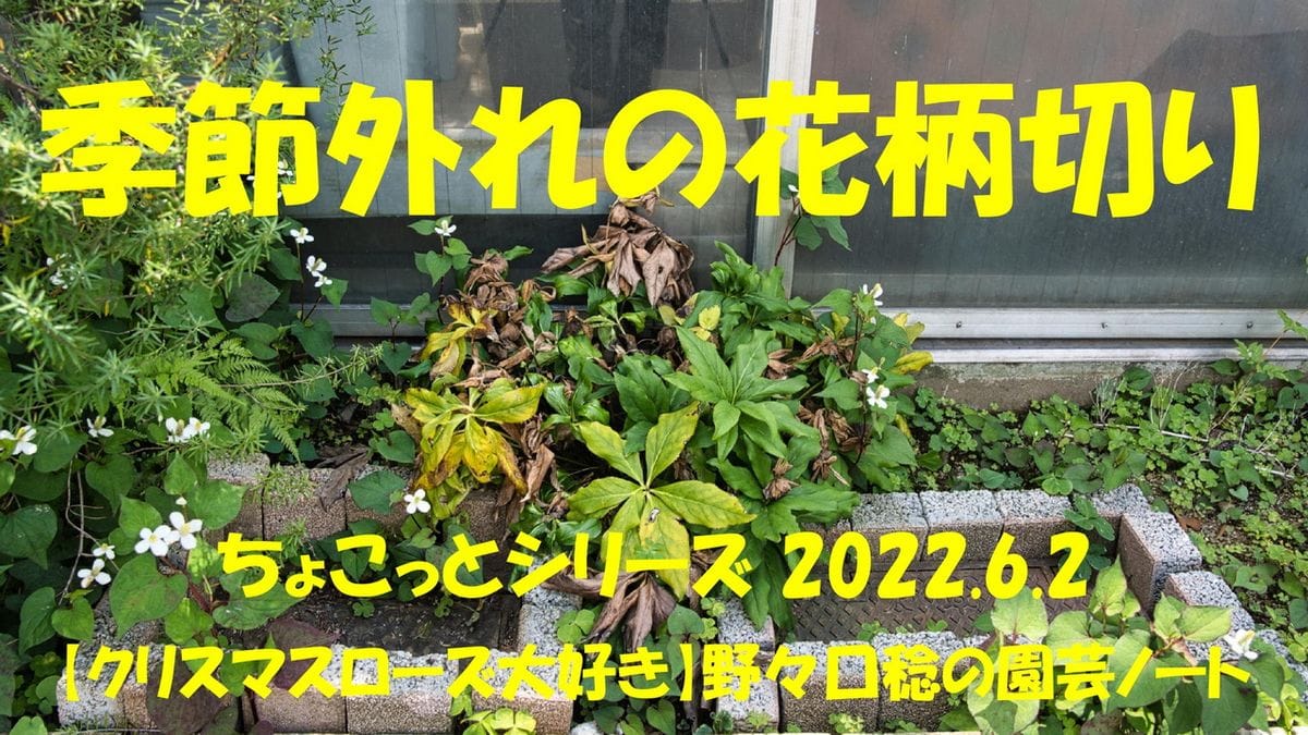 YouTube【季節外れの花柄切り】