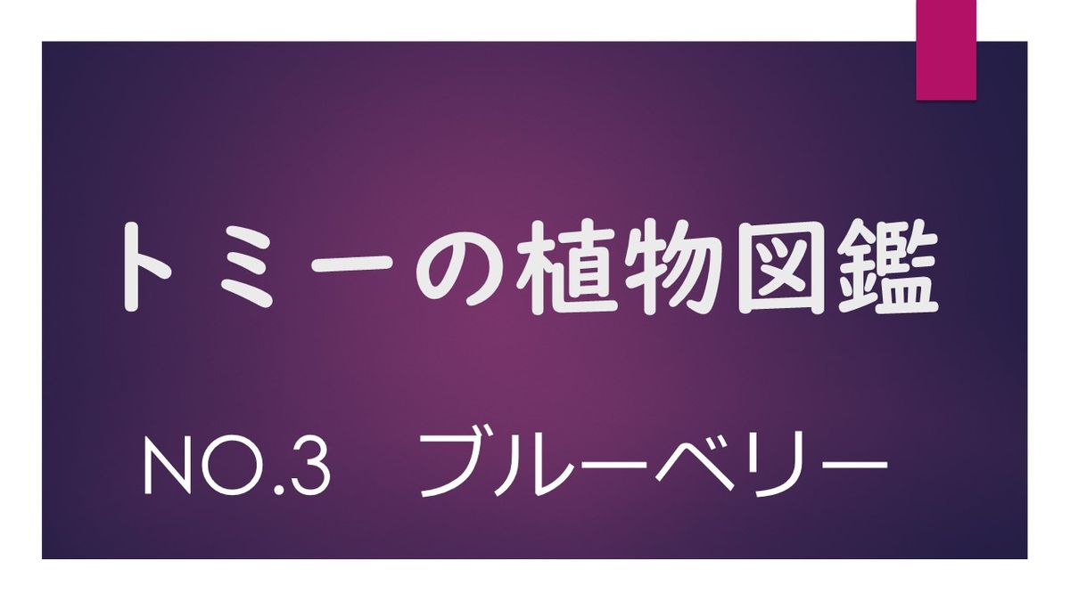 トミー植物図鑑　No.3【ブルーベリー】＃22