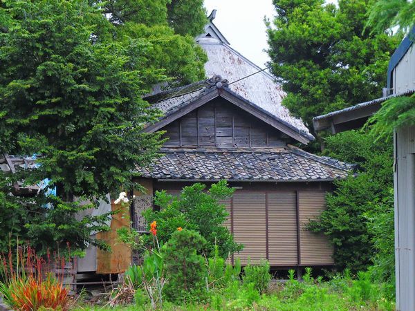 のどかな風景