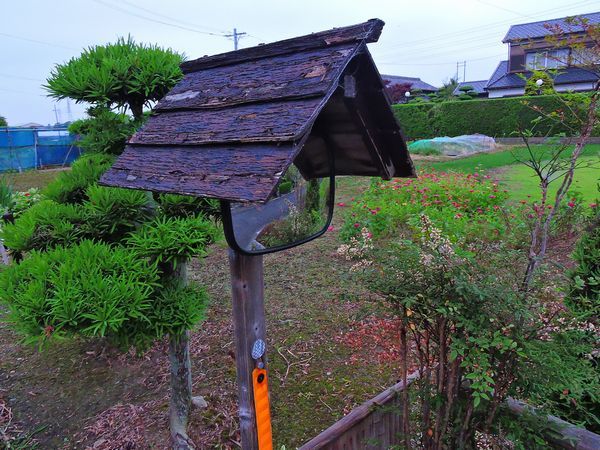 のどかな風景