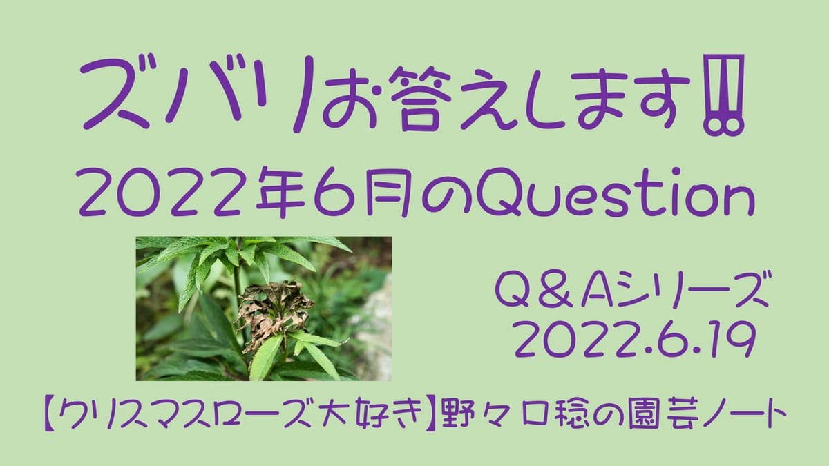 YouTube【ズバリお答えします‼️ 2022年6月のQuestion】