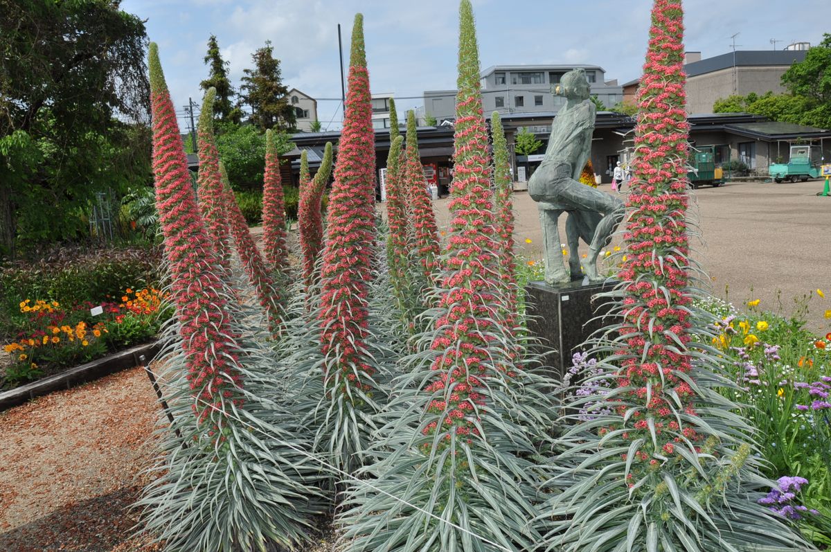 ボツ救済日記・植物園に行って来ました１４２（お散歩編