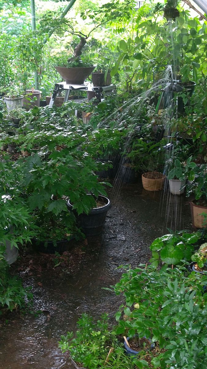 関東梅雨開け スプリンクラー設置