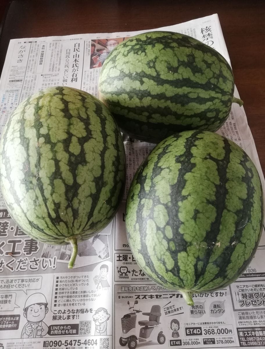 スイカいただきました🍉