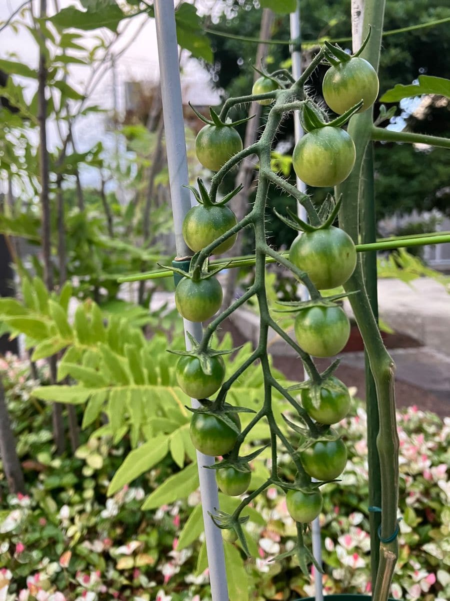 6月もおわり…☀️