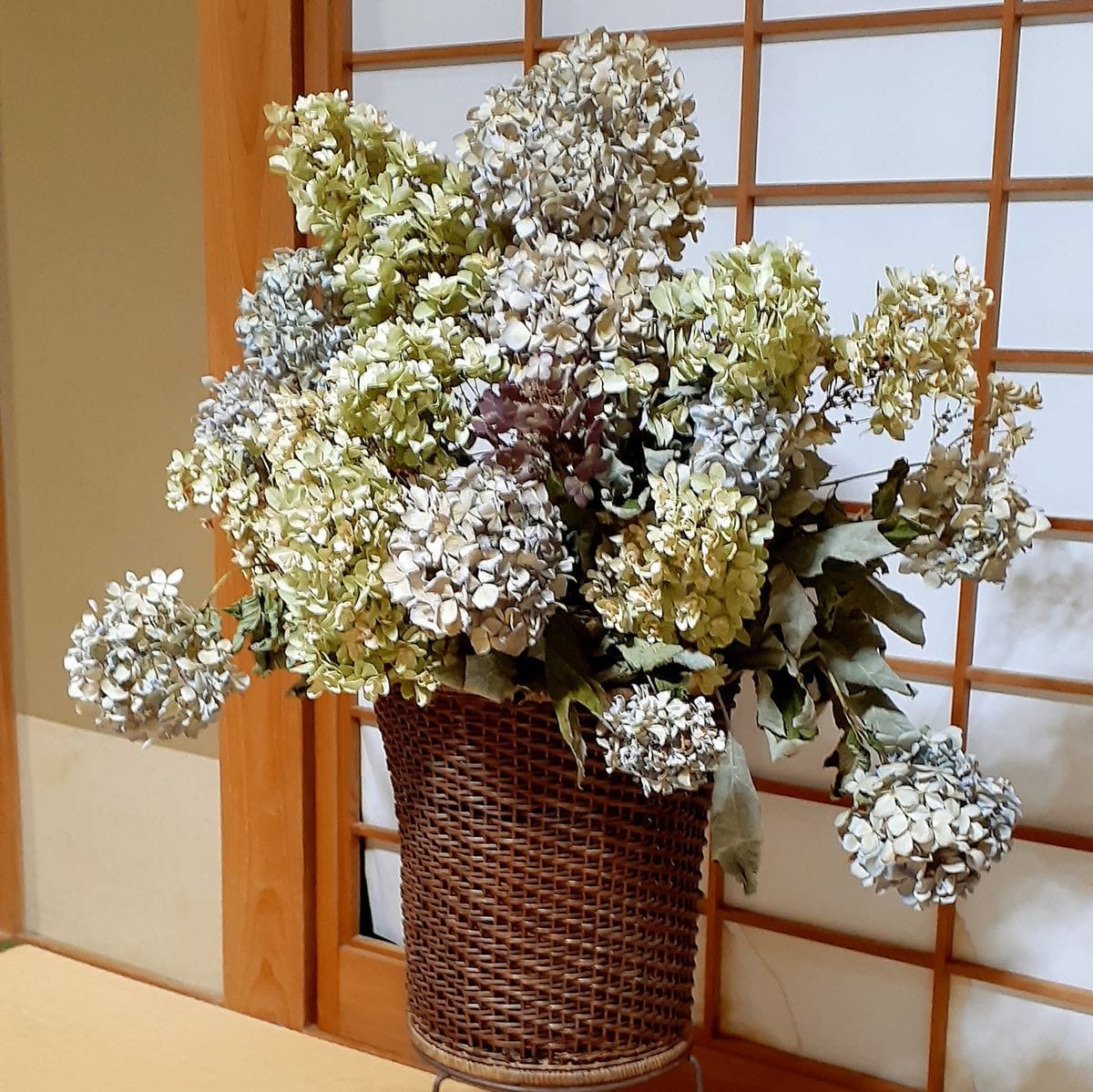 紫陽花のドライフラワー