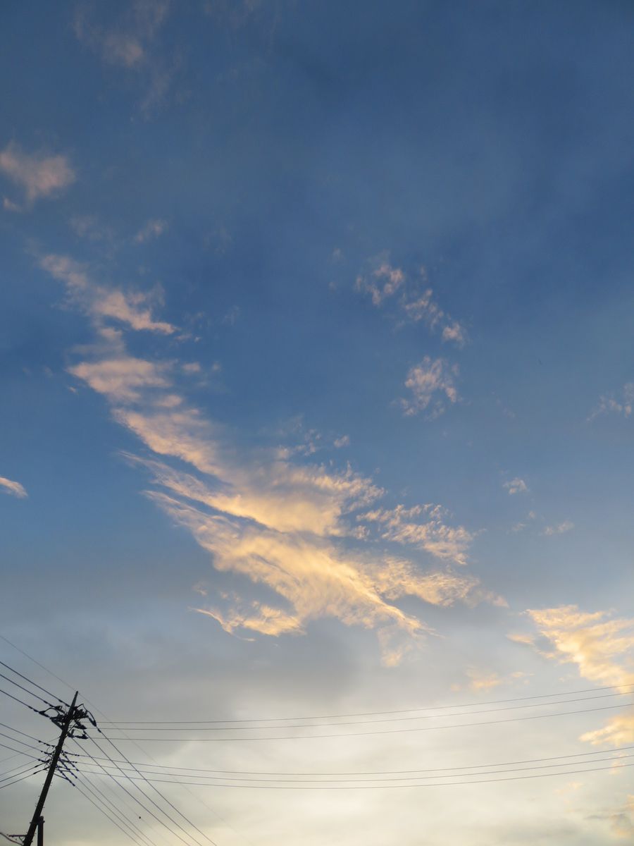 夕焼け・お月さま・趣味の嚥下