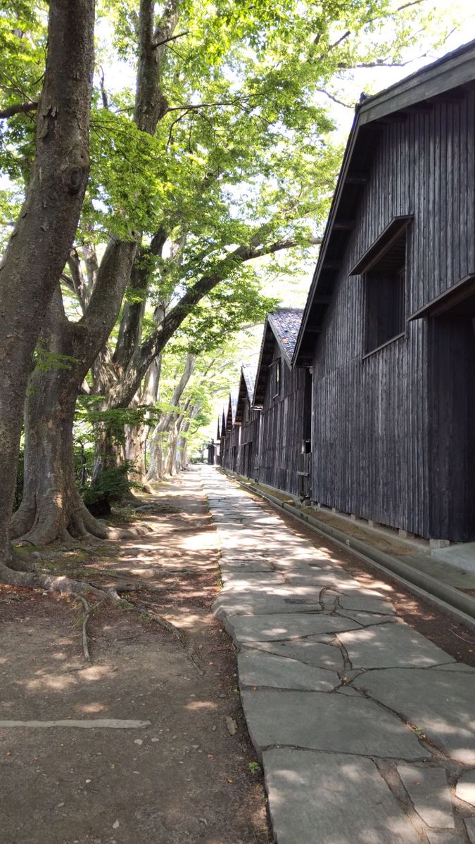 旅先で目にした花　　《　山形県　》