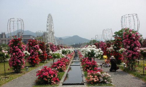 ハウステンボスバラ祭り