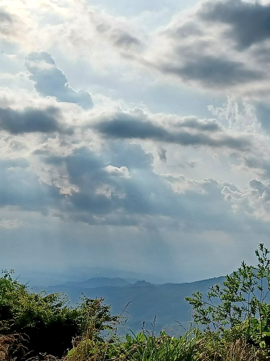 涼みに山へ🚗💨