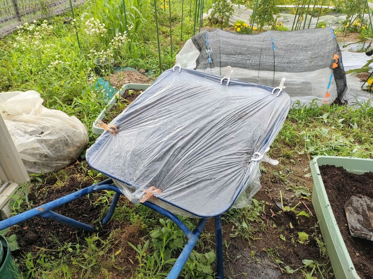 消毒作業と土ふるい🌱