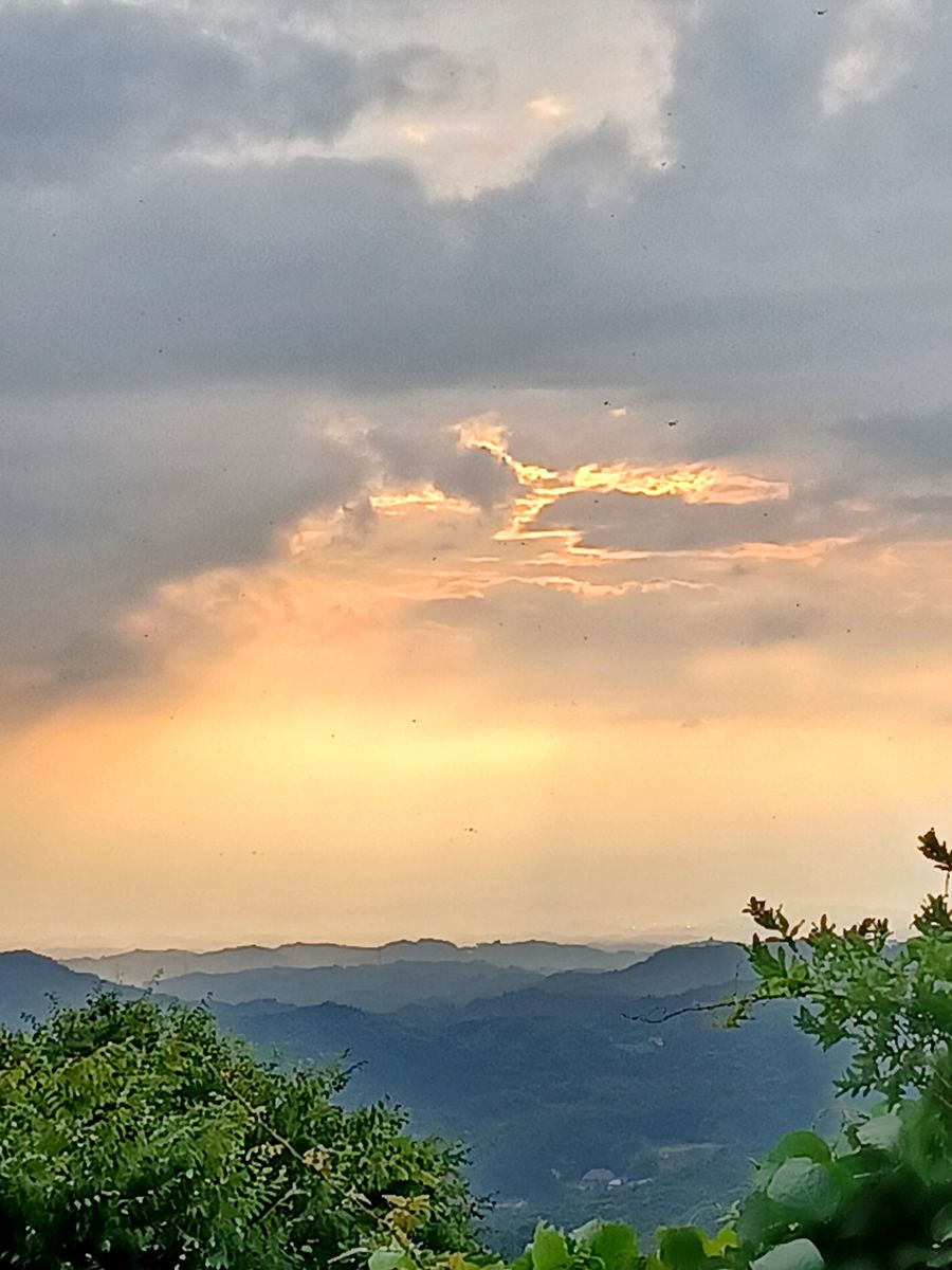 ヒメヒオウギズイセン　&　夕暮れ