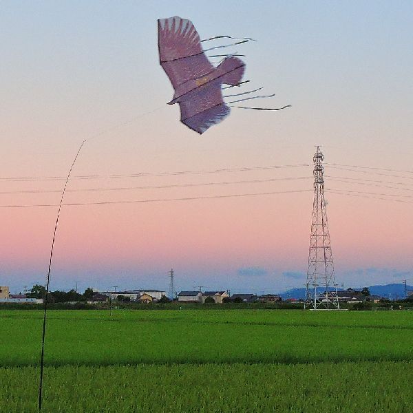 羽ばたく案山子