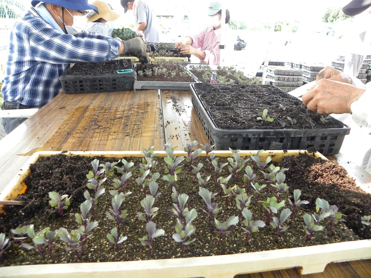 園芸ボランティア定例作業日・・